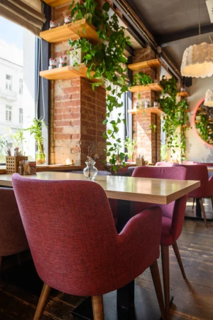 картинка Полукресло Dion | Дион от компании CORSASTYLE